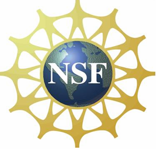 NSF NSF