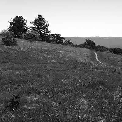 Ancient Oaks Trail Russian Ridge Copyright 2014 Charles Najda