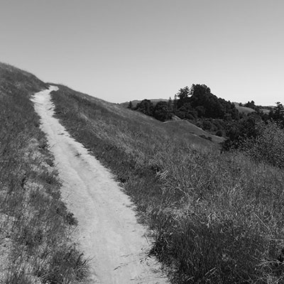 Ancient Oaks Trail Russian Ridge Copyright 2014 Charles Najda