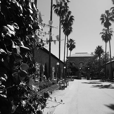 Stanford University Main Quad Copyright 2014 Charles Najda