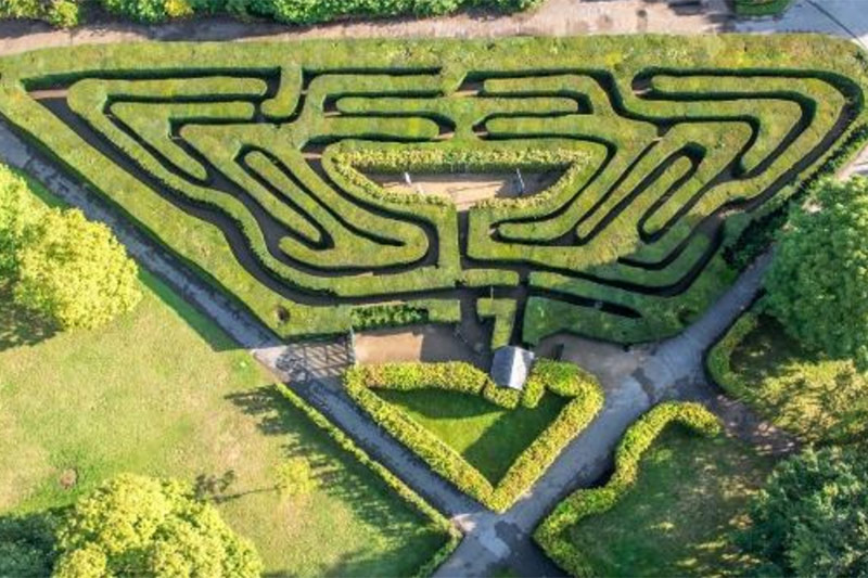 Hampton Court Hedge Maze
