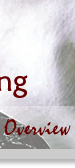 overview