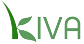Kiva.org, loans that change lives