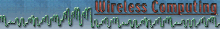 Wireless Computing