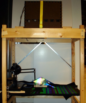 Deformable probing setup