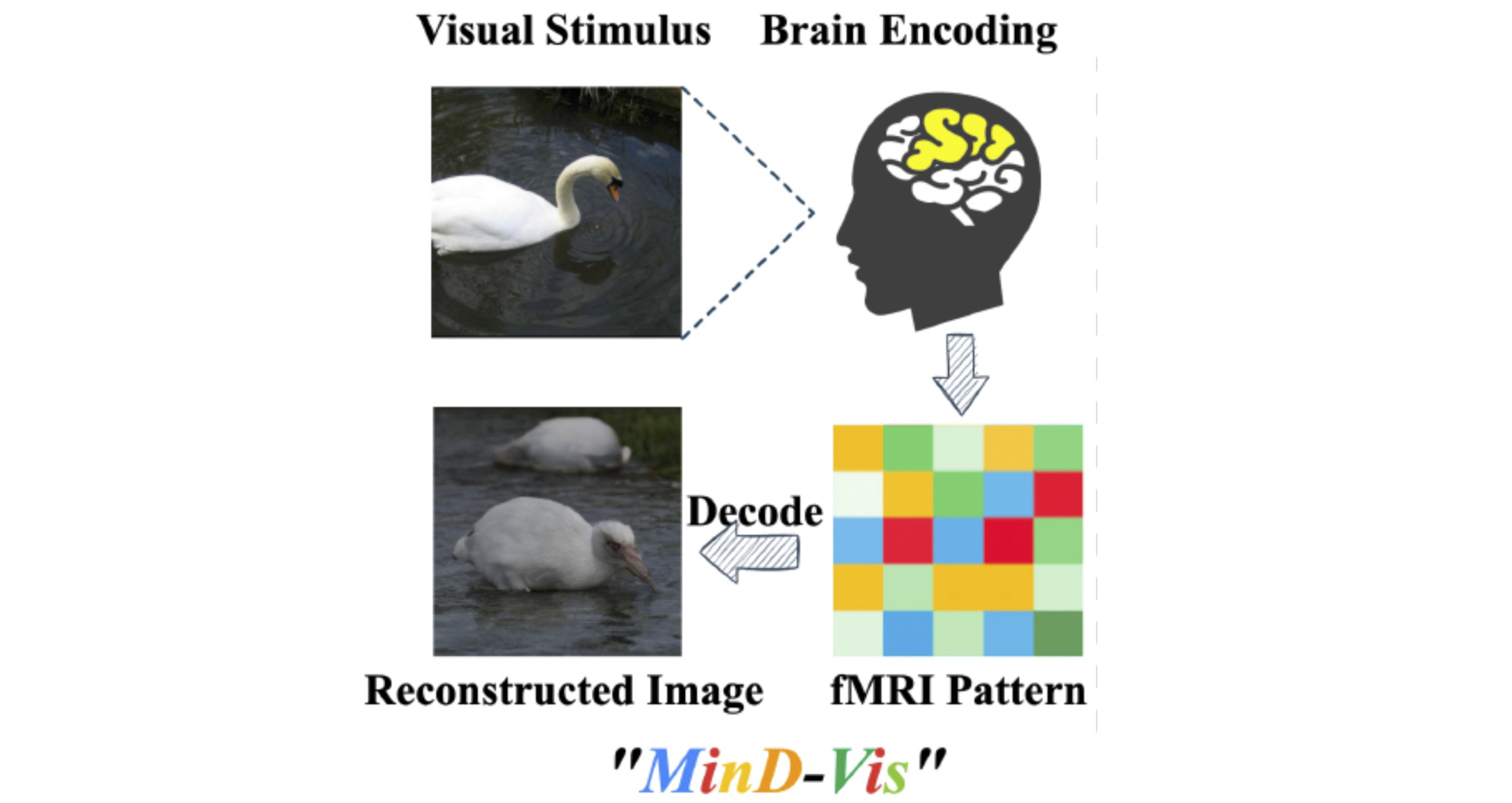 Mind-Vis vision decoding from brain signals