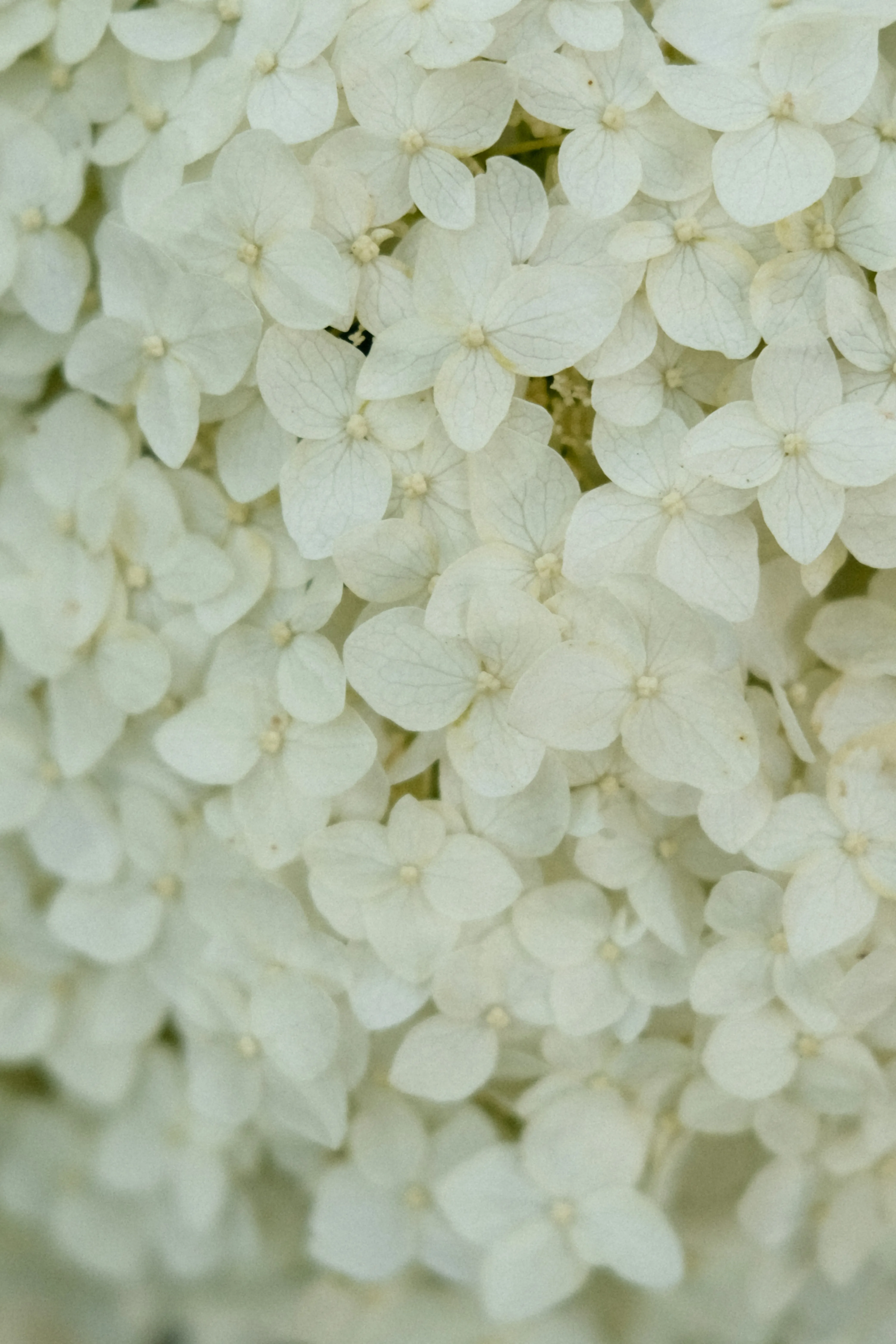 DSAN 5500: Data Structures and Algorithms in Python