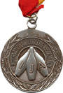 The silver medal