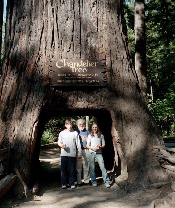 Olga and Vova and Martin