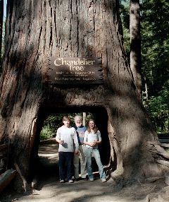 OlgaVovaMartin_cropclean