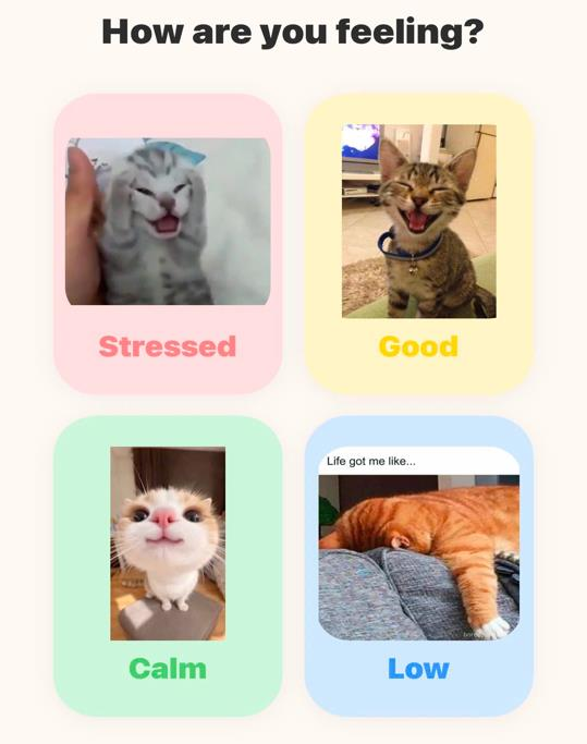 DePause mood check-in screen